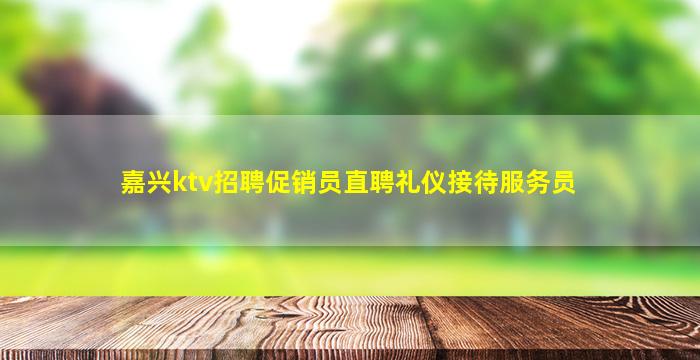 嘉兴ktv招聘促销员直聘礼仪接待服务员